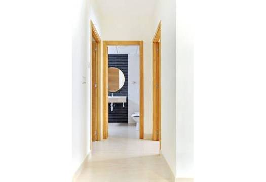 Obra Nueva - Apartmento - San Miguel de Salinas