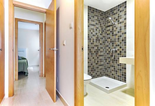 Obra Nueva - Apartmento - San Miguel de Salinas