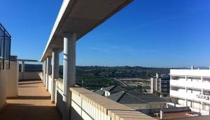 Obra Nueva - Apartmento - San Miguel de Salinas