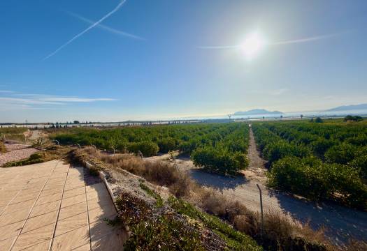 Reventa - Finca / Casa de Campo - Orihuela