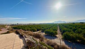 Reventa - Finca / Casa de Campo - Orihuela