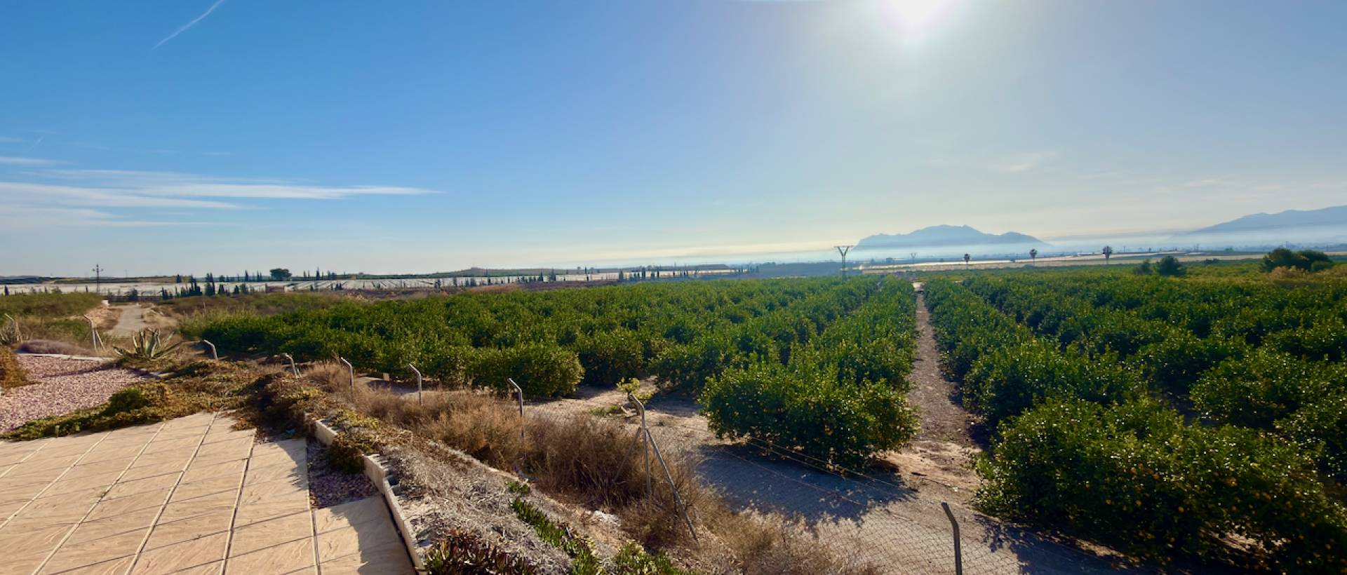 Reventa - Finca / Casa de Campo - Orihuela