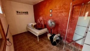 Reventa - Finca / Casa de Campo - Orihuela