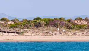 New - Apartment - Guardamar del Segura - Pueblo