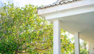 Resale - Plot - Orihuela Costa - Cabo Roig