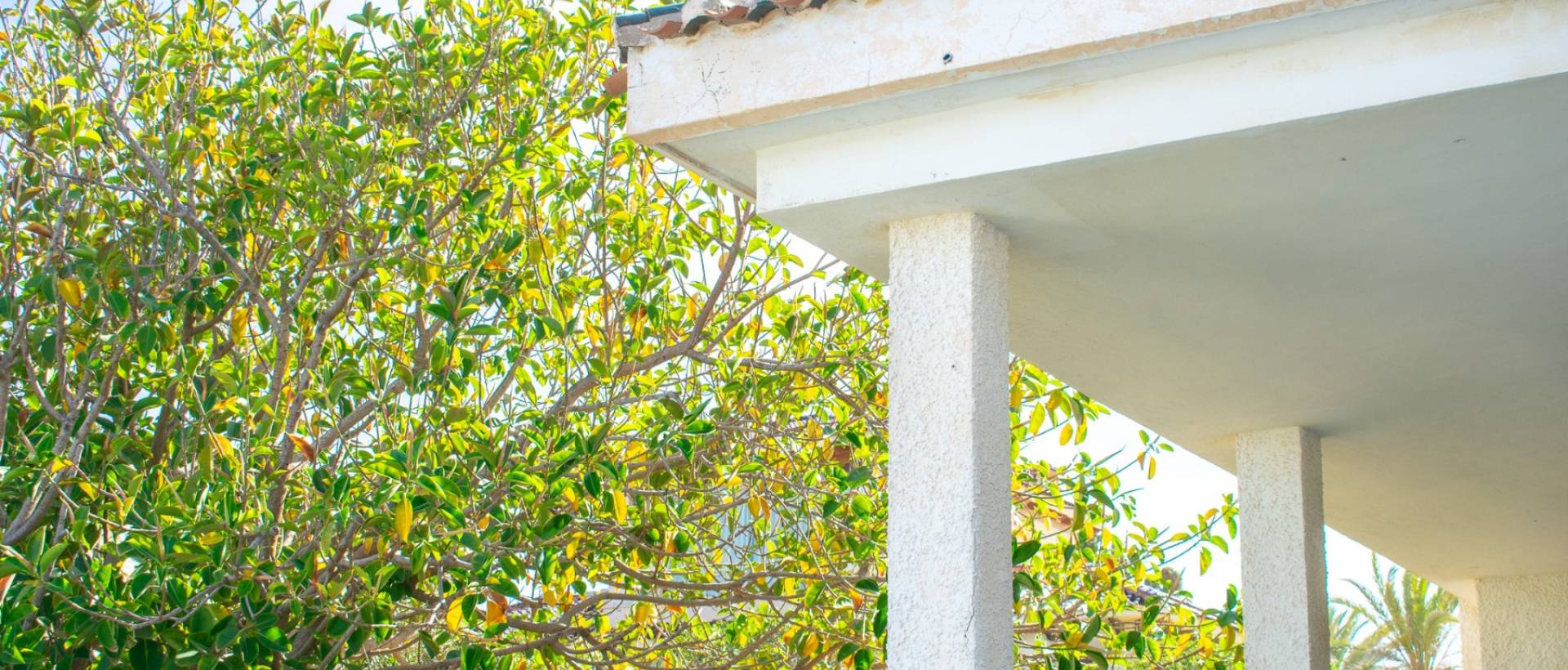 Resale - Plot - Orihuela Costa - Cabo Roig