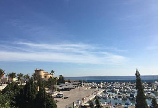 New - Villa - Pilar de la Horadada - Las Higuericas