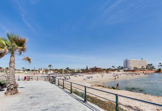 Obra Nueva - Villa / Chalet - Orihuela Costa - La Zenia
