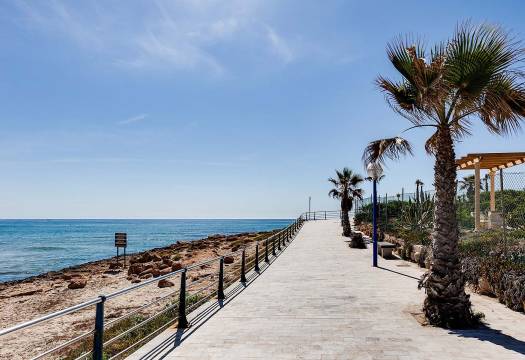 Obra Nueva - Villa / Chalet - Orihuela Costa - La Zenia