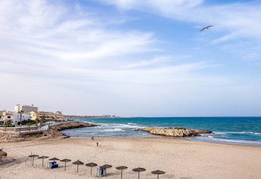 Obra Nueva - Villa / Chalet - Orihuela Costa - La Zenia