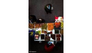 Obra Nueva - Villa / Chalet - Dolores - Sector 2