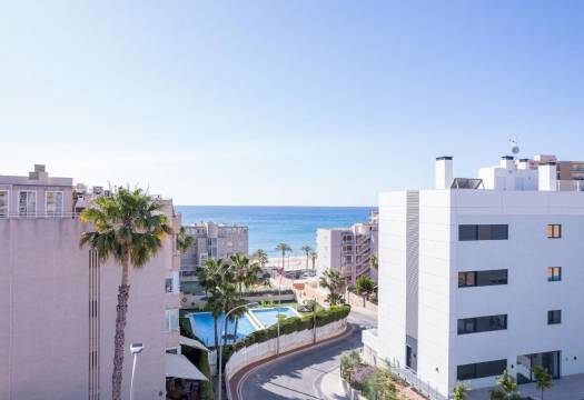 New - Apartment - El Campello - Muchavista