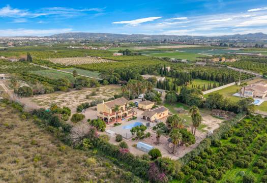 Resale - Finca / Country Property - Orihuela