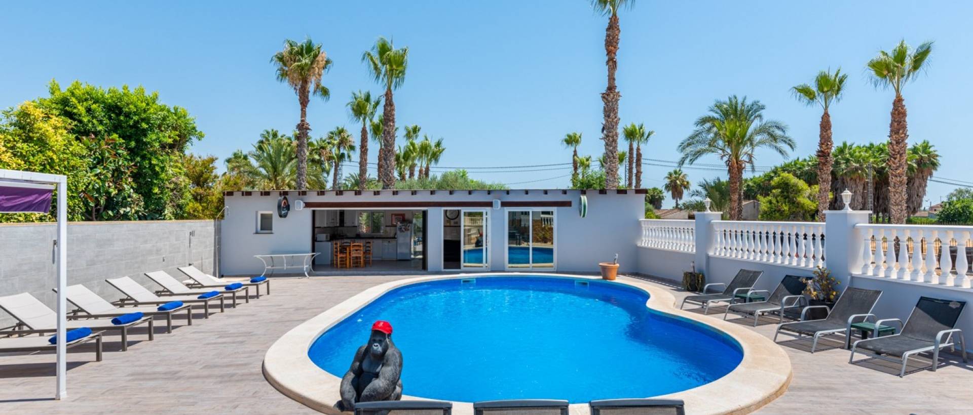 Reventa - Finca / Casa de Campo - Catral