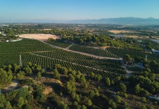 Obra Nueva - Apartmento - Godella - Campolivar