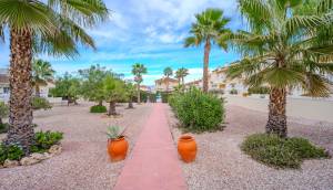 Reventa - Semi Adosada - Benijofar - Benimar