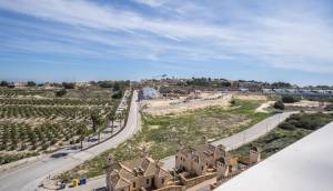 Obra Nueva - Villa / Chalet - Algorfa - La Florida