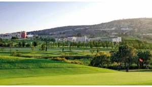 Obra Nueva - Villa / Chalet - Algorfa - La Florida