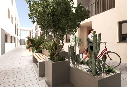 New - Apartment - San Miguel de Salinas - Pueblo