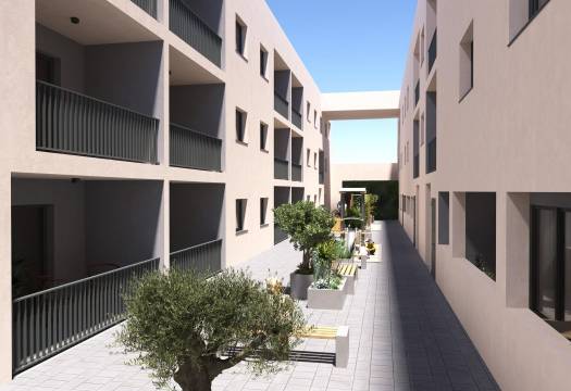 New - Apartment - San Miguel de Salinas - Pueblo