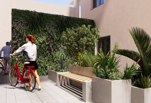 New - Apartment - San Miguel de Salinas - Pueblo