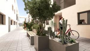New - Apartment - San Miguel de Salinas - Pueblo