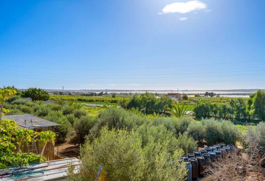 Resale - Finca / Country Property - Los Montesinos