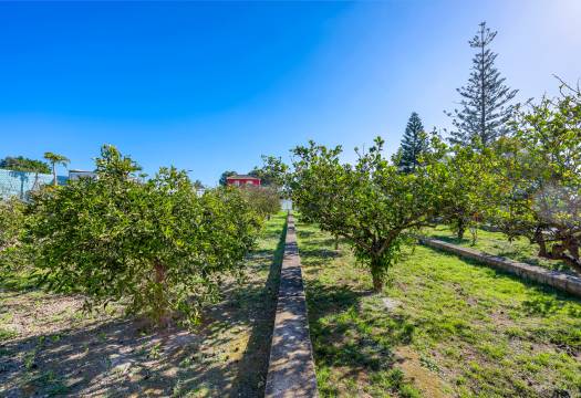 Resale - Finca / Country Property - Los Montesinos