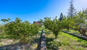 Resale - Finca / Country Property - Los Montesinos