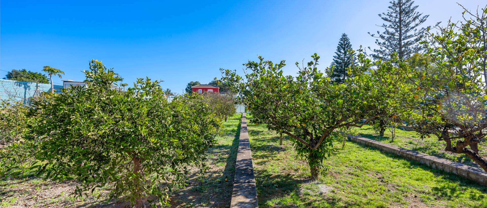 Resale - Finca / Country Property - Los Montesinos