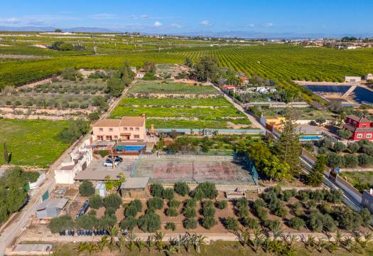 Resale - Finca / Country Property - Los Montesinos