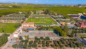 Resale - Finca / Country Property - Los Montesinos