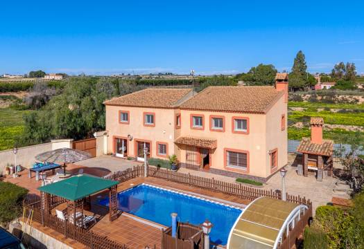 Finca / Country Property - Resale - Los Montesinos - Los Montesinos