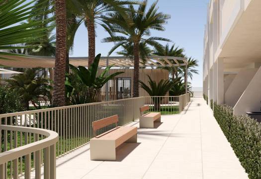 New - Apartment - Torre Pacheco - San Cayetano