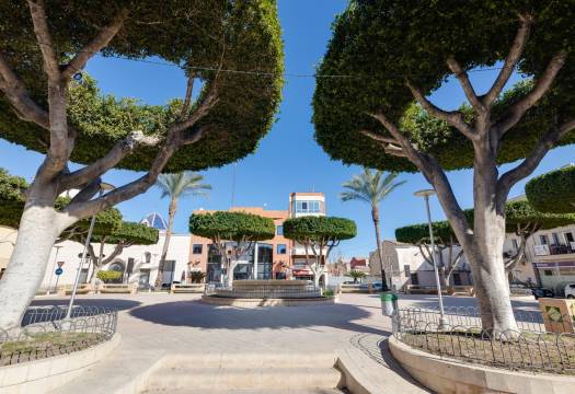 Obra Nueva - Apartmento - San Fulgencio - Pueblo