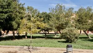 Reventa - Apartmento - Torrevieja - Aguas Nuevas