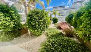 Resale - Apartment - Ciudad Quesada