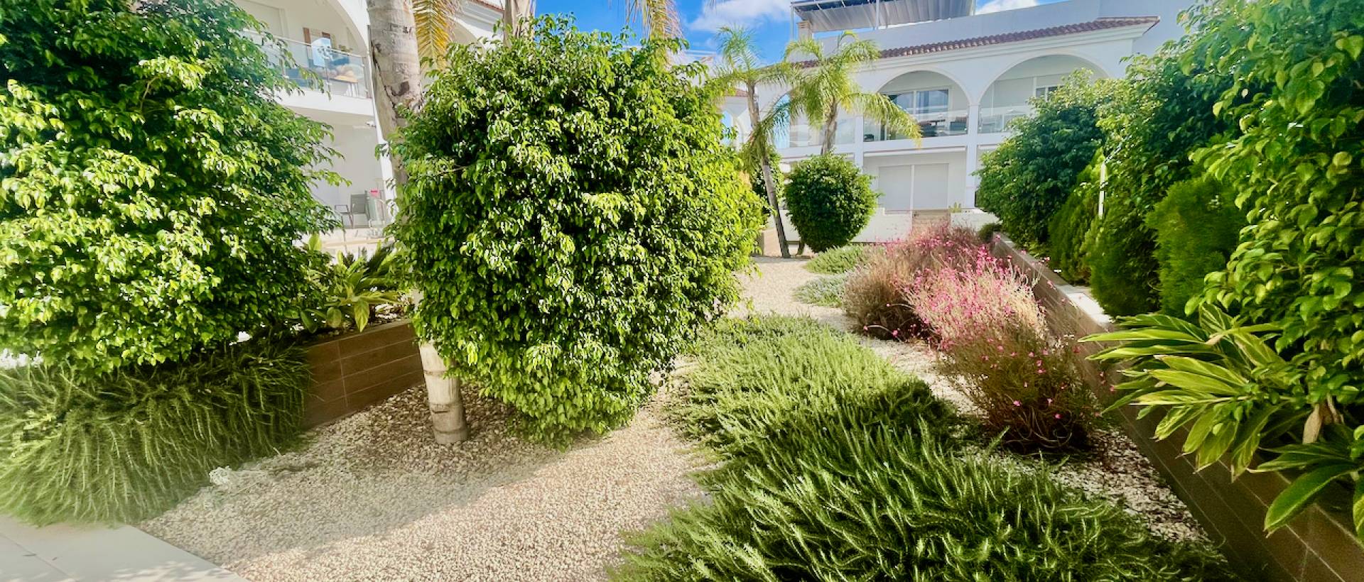 Resale - Apartment - Ciudad Quesada