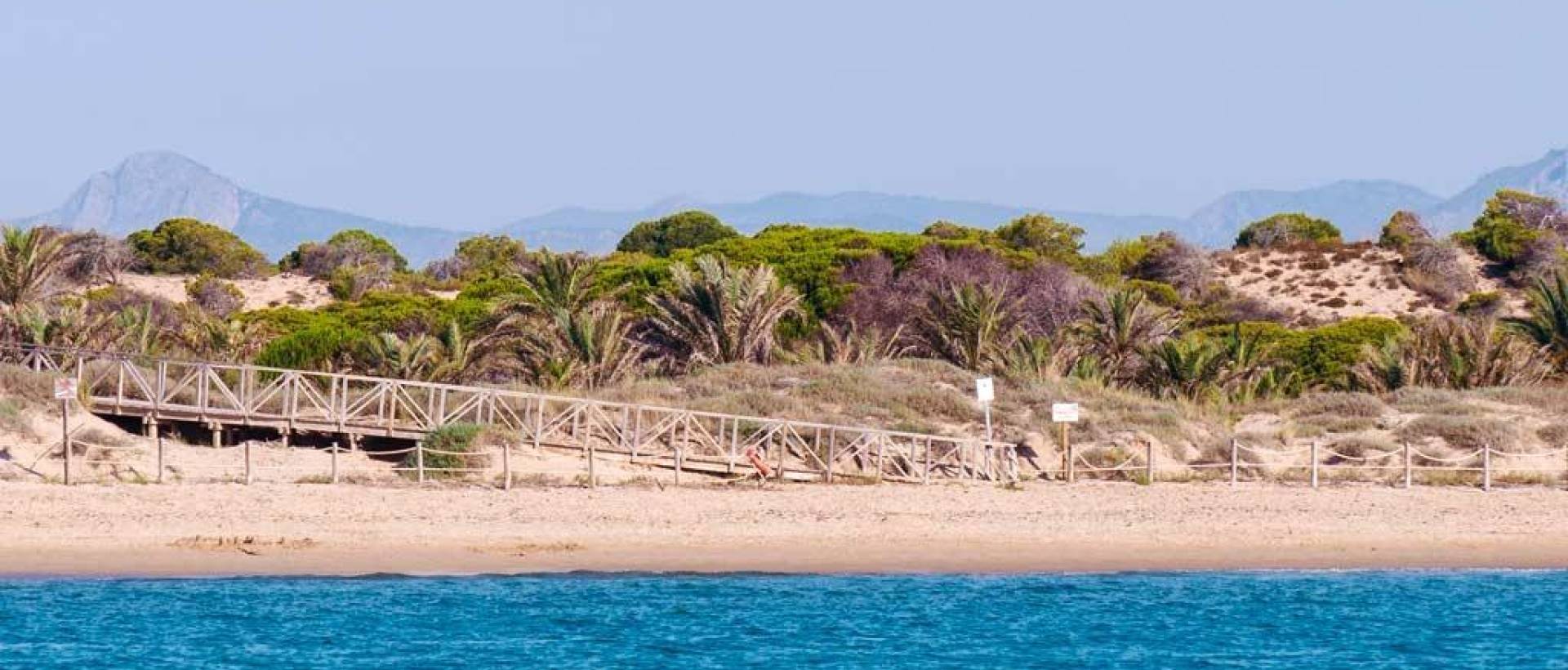 Obra Nueva - Apartmento - Guardamar del Segura - Pueblo