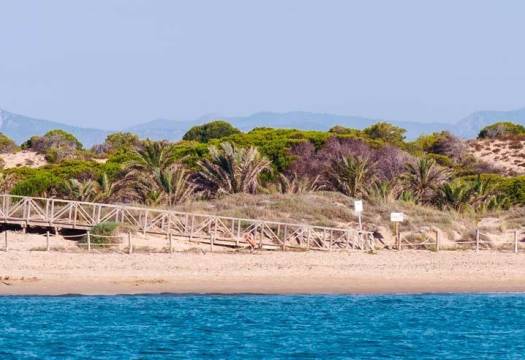 Obra Nueva - Apartmento - Guardamar del Segura - Pueblo