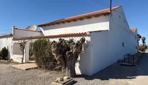 Resale - Finca / Country Property - Rojales