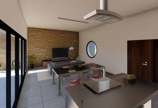 Obra Nueva - Villa / Chalet - Pinoso - Campo