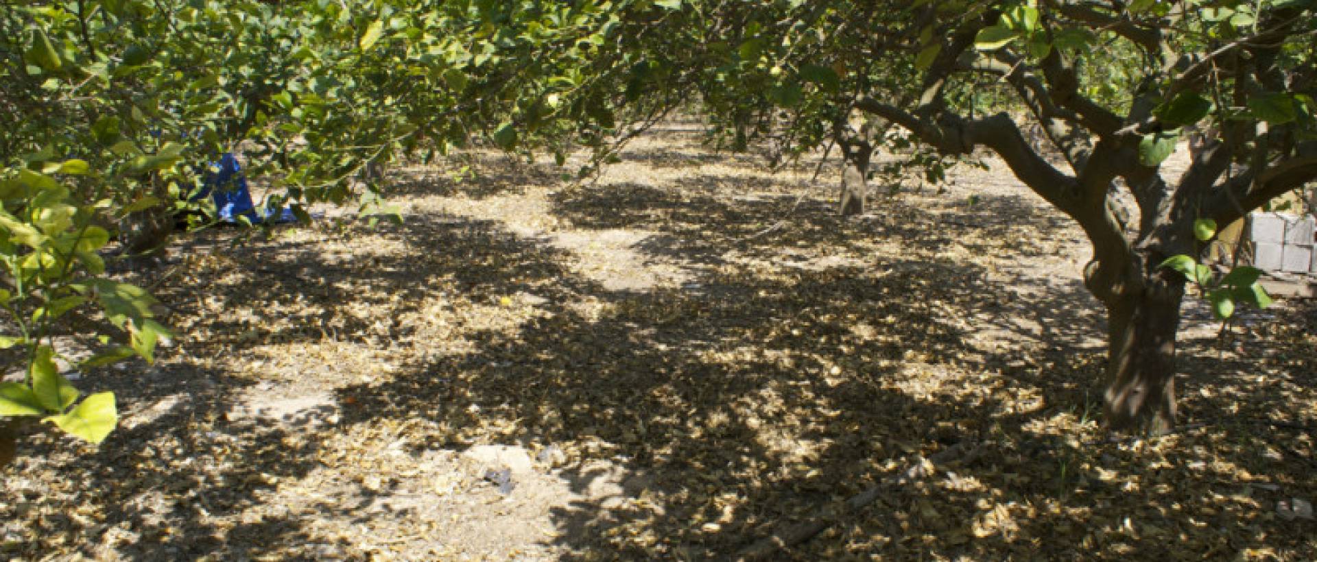 Reventa - Villa / Chalet - San Miguel de Salinas