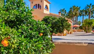 Resale - Finca / Country Property - Rafal