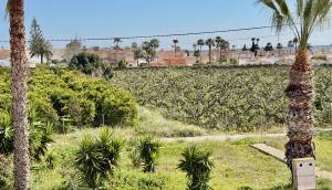 Reventa - Apartmento - Ciudad Quesada - Ciudad Quesada - Doña Pepa