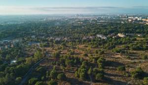 New - Villa - Godella - Campolivar