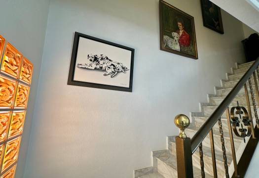 Resale - Villa - Ciudad Quesada - Doña Pepa