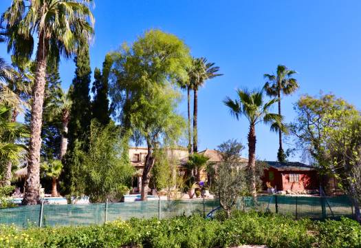 Resale - Finca / Country Property - Rojales - Heredades