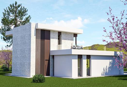 Obra Nueva - Villa / Chalet - Pinoso - Lel