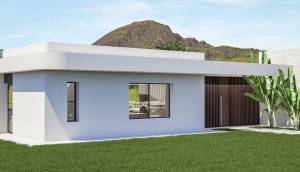 Obra Nueva - Villa / Chalet - Pinoso - Lel